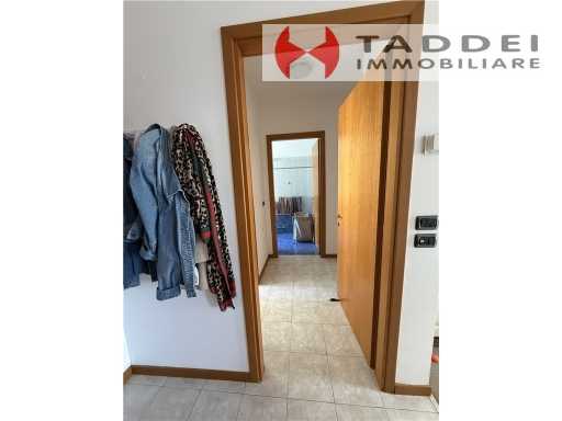  - foto 11