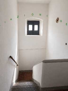  - foto 16