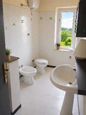  - foto 17