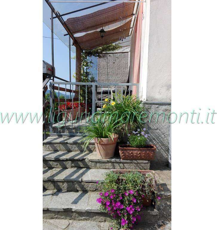  - foto 22