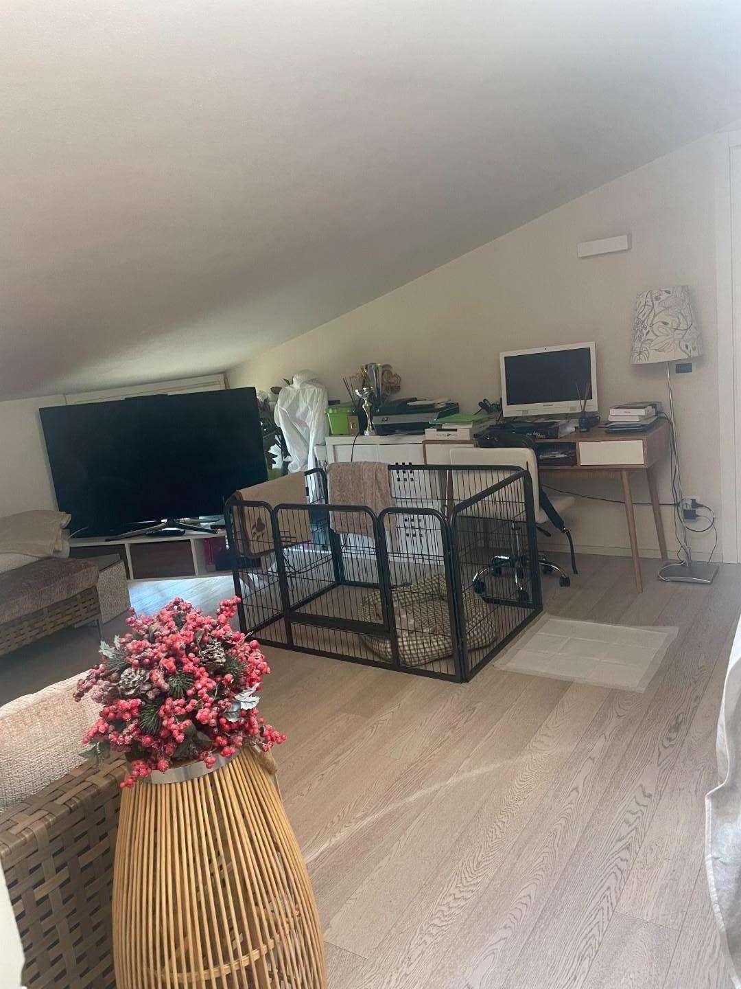  - foto 14