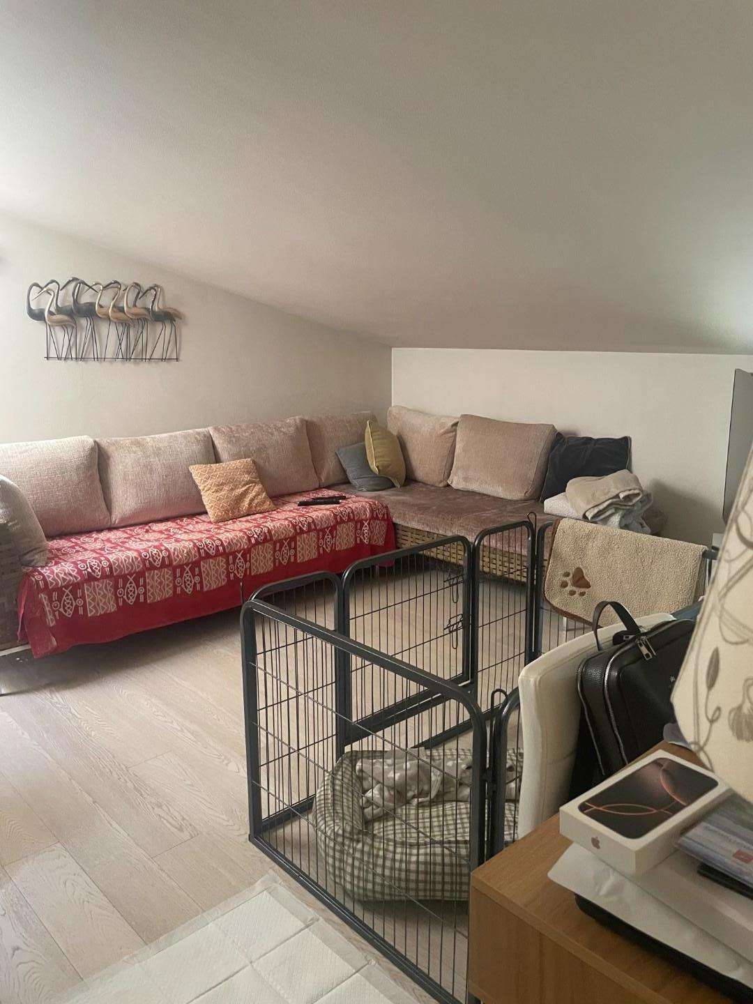 - foto 17