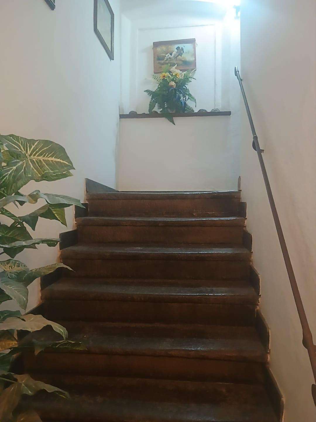  - foto 11