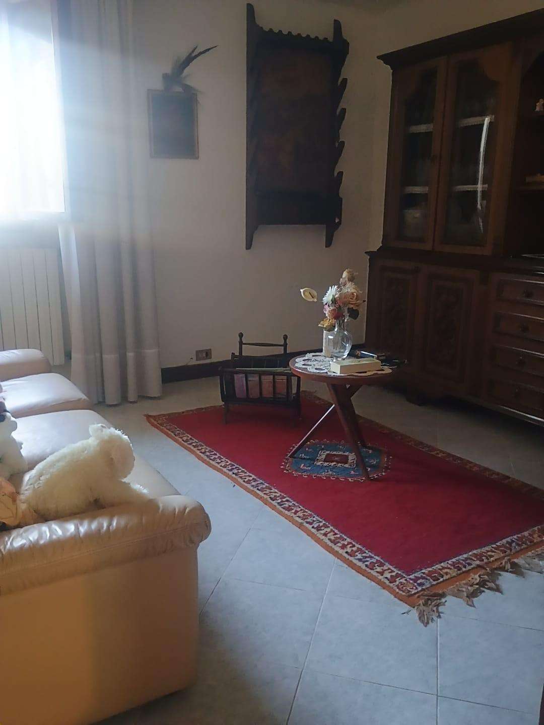  - foto 16