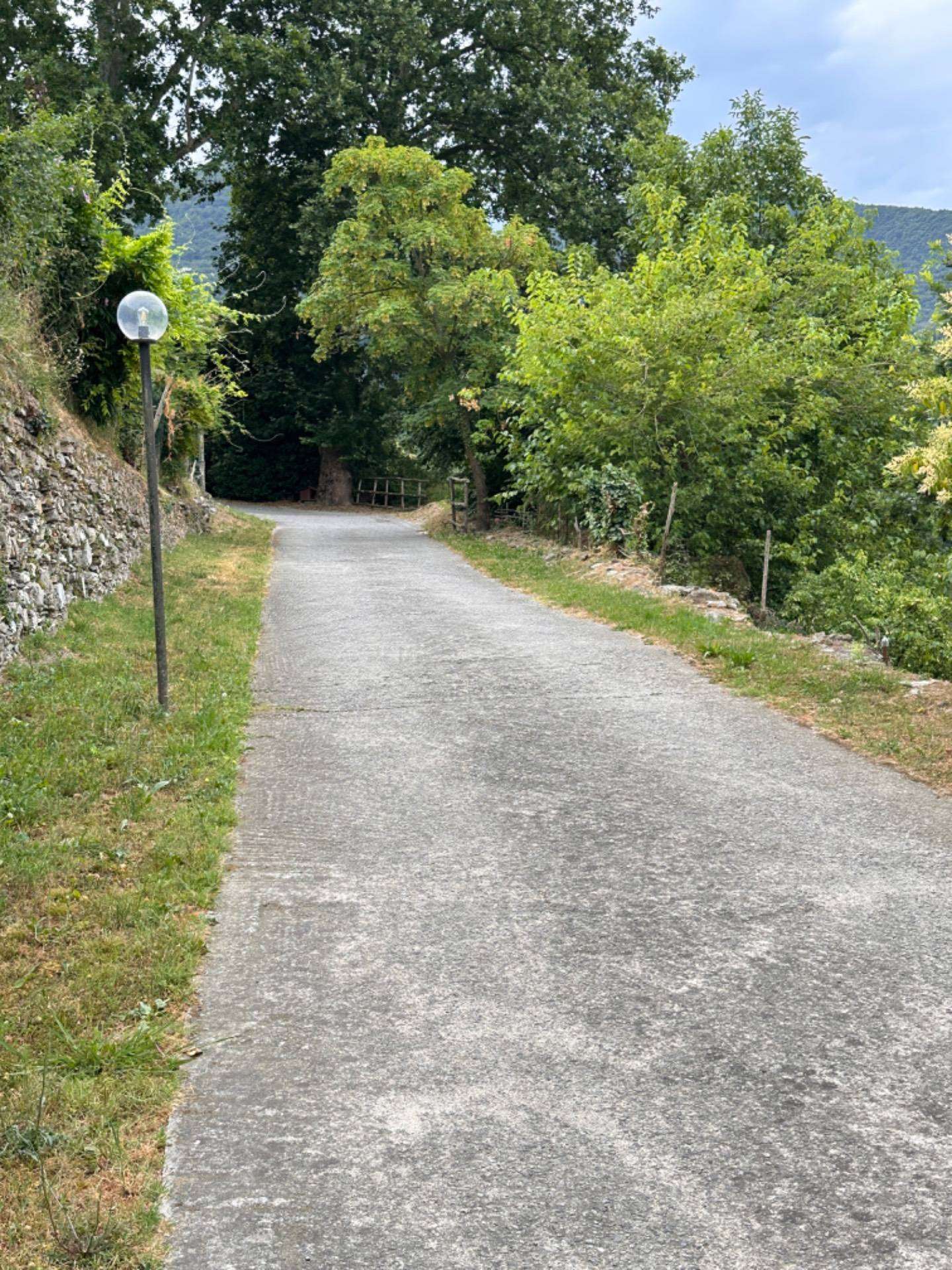  - foto 12