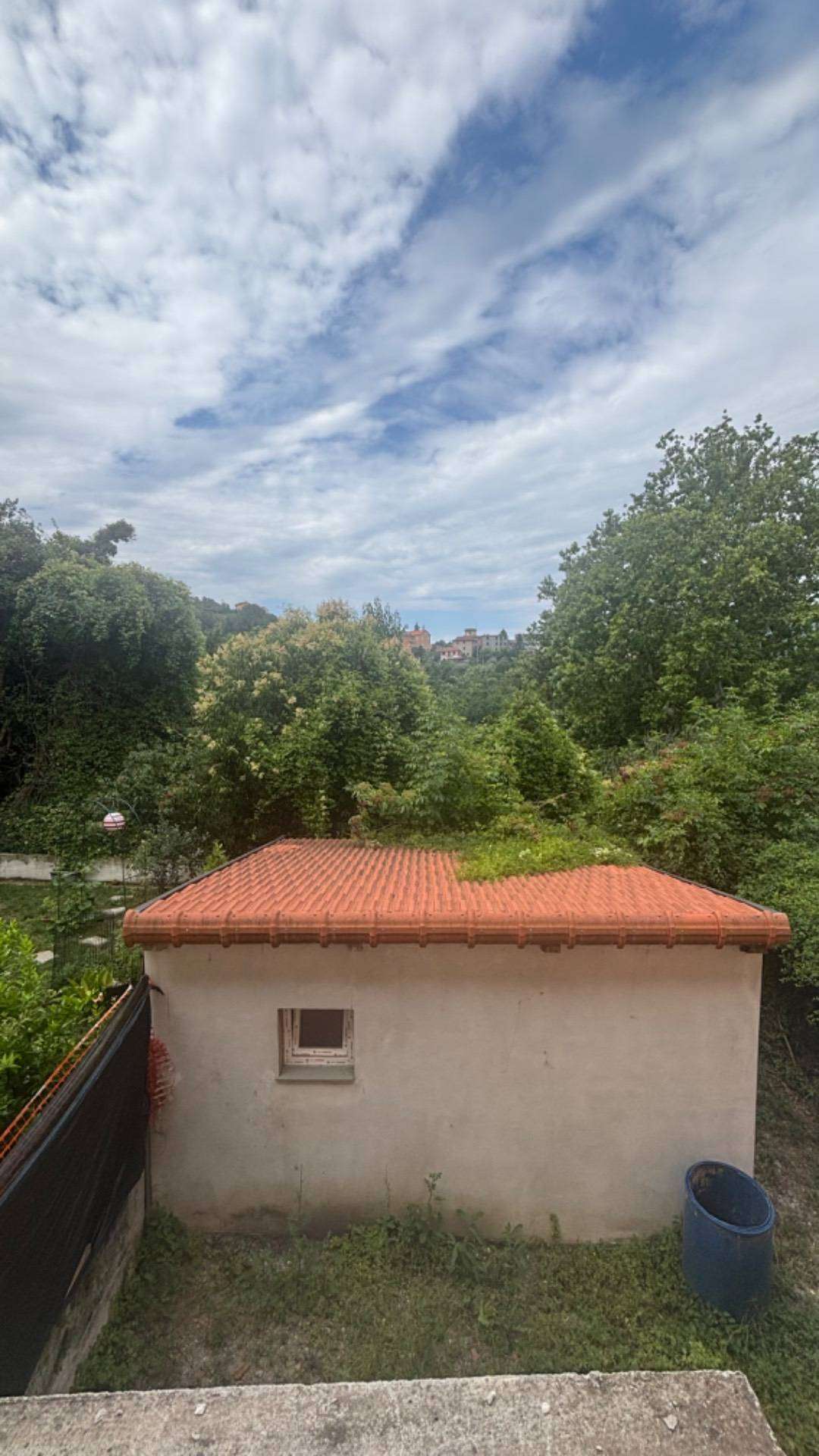  - foto 18