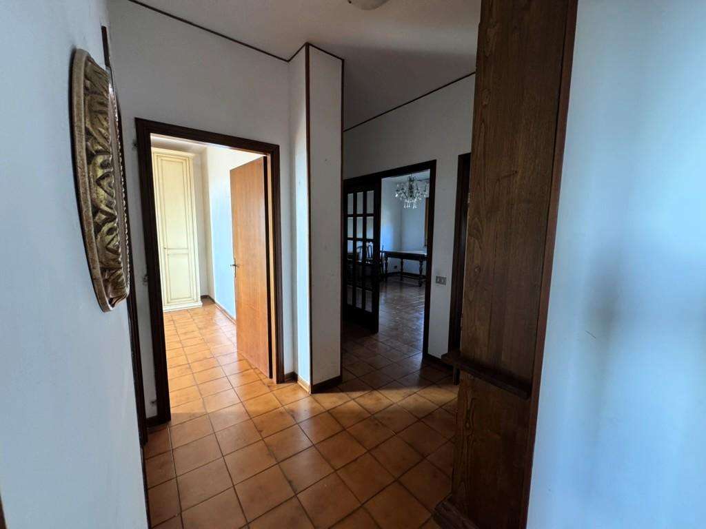  - foto 13