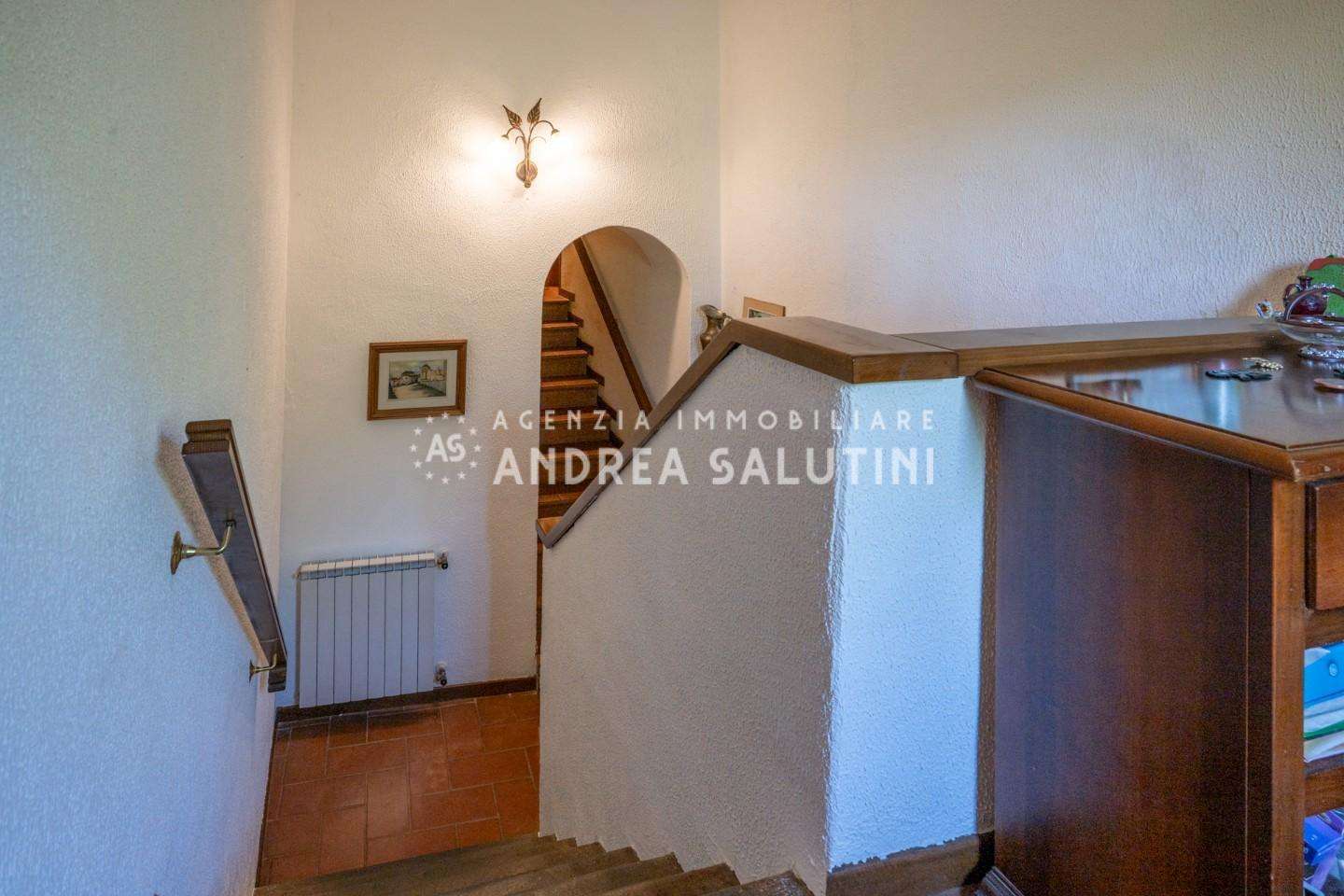  - foto 24