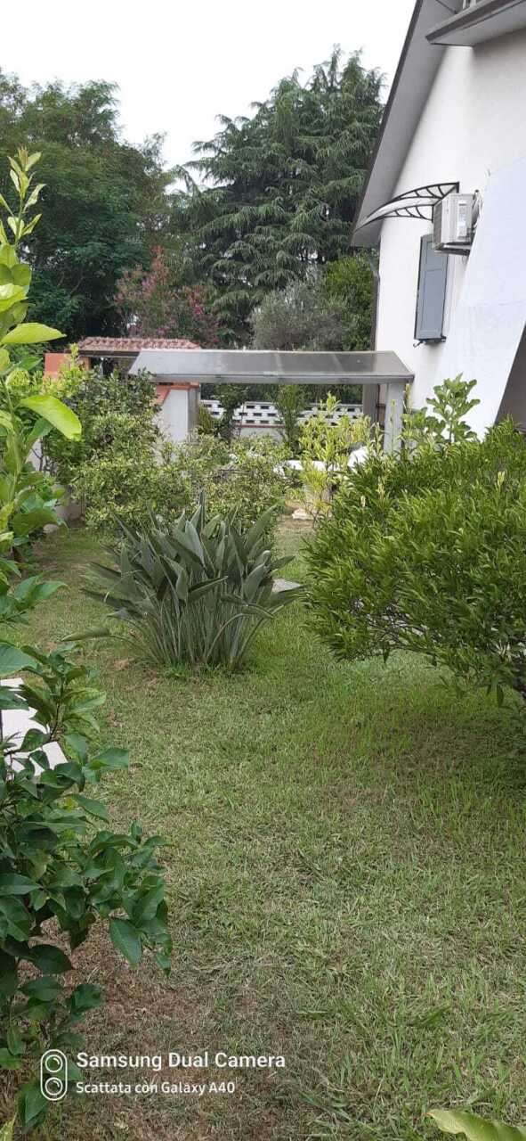  - foto 36