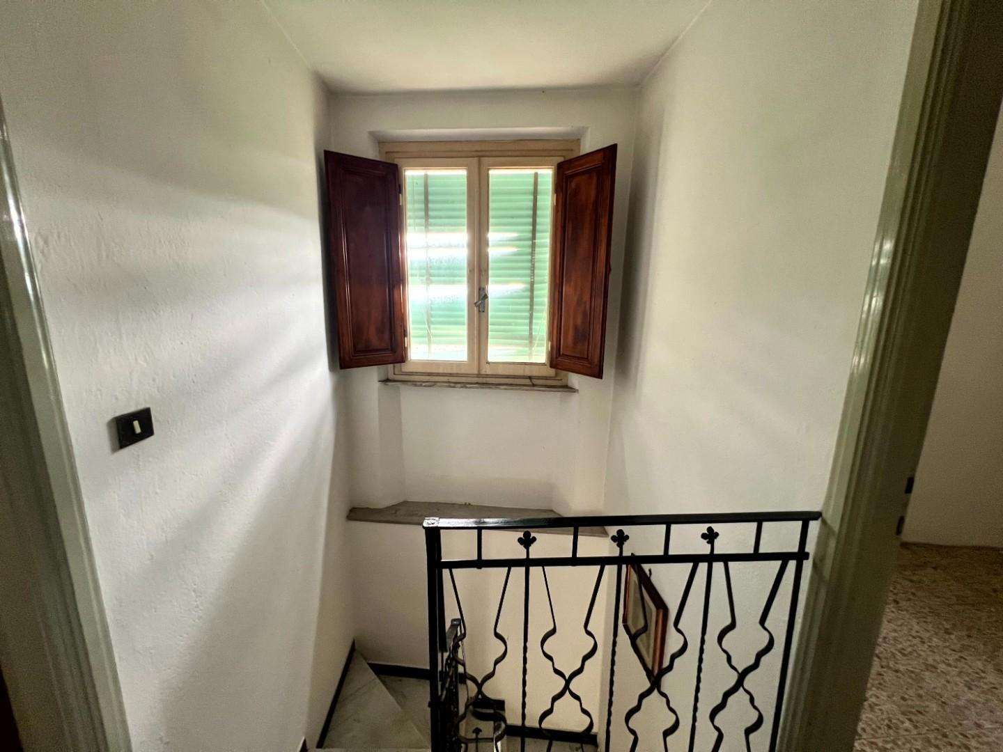  - foto 15
