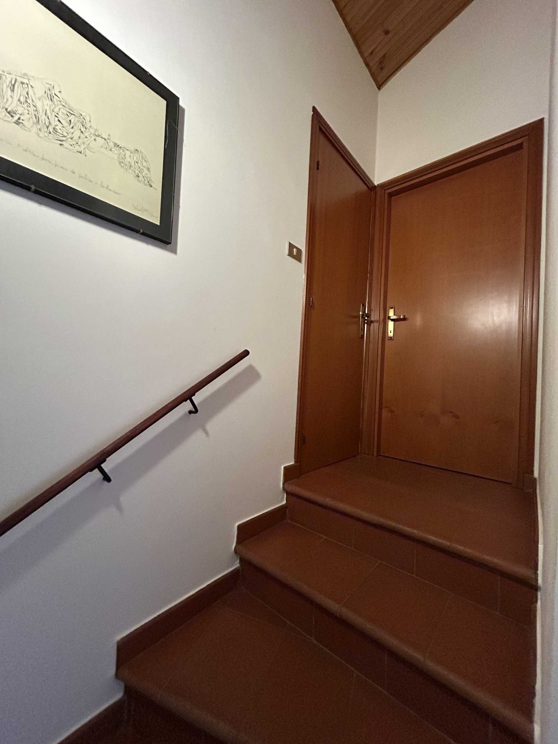  - foto 37