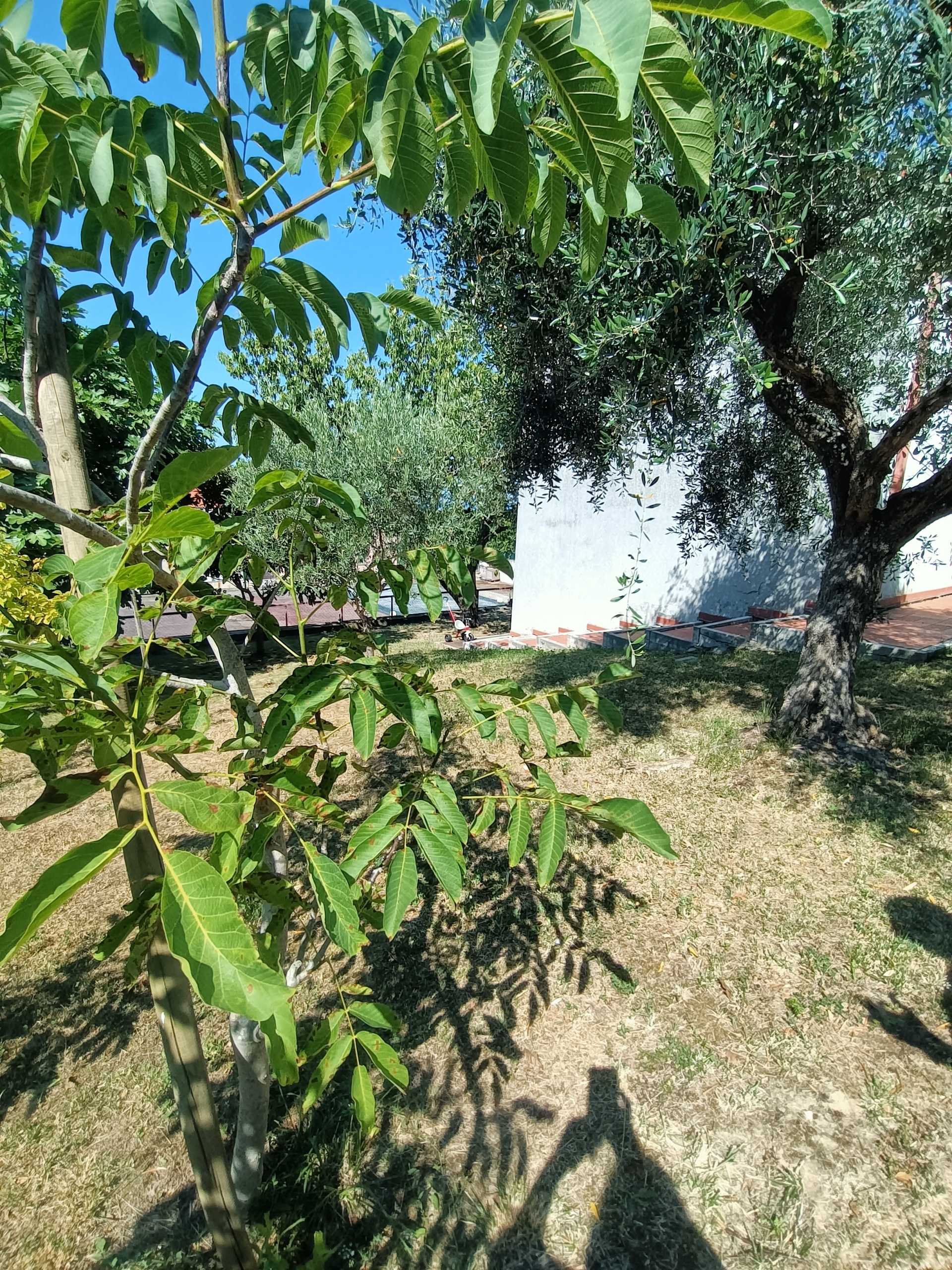  - foto 52