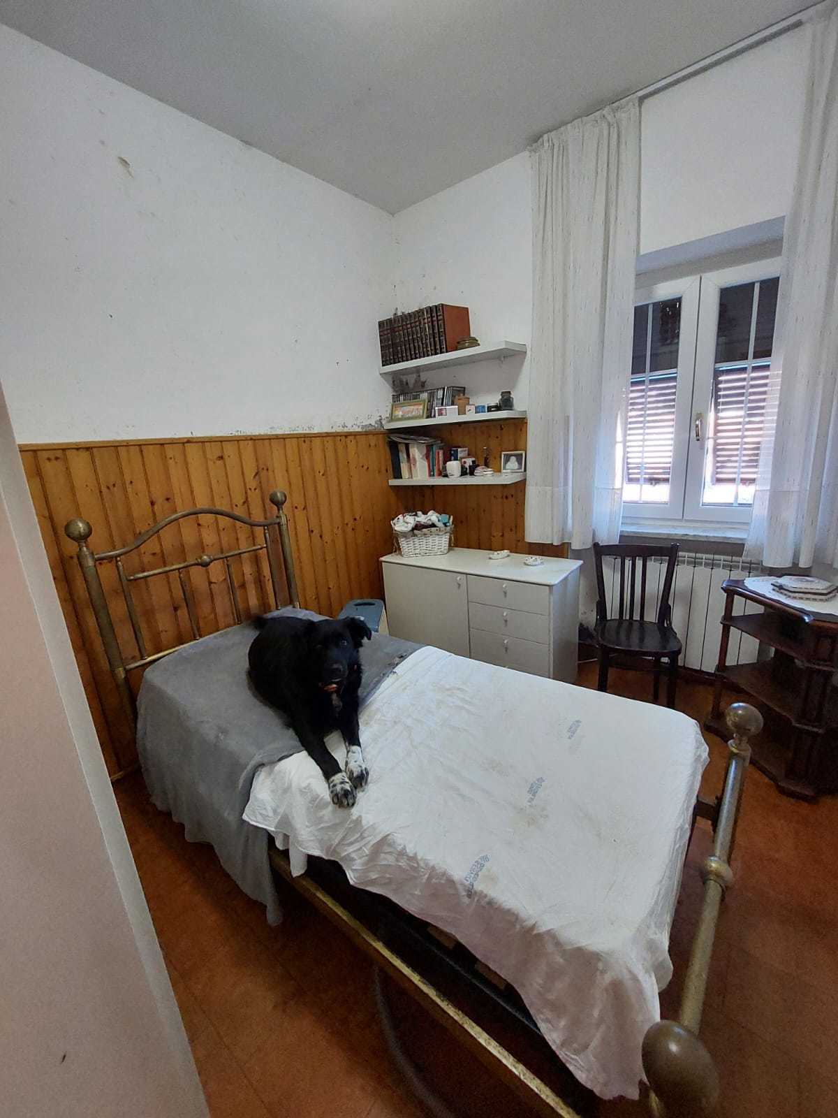  - foto 13