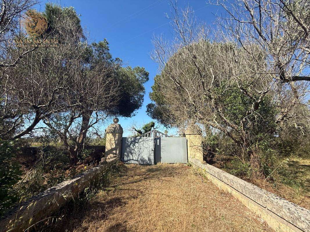 Terreno agricolo SC Presicce Alessano,  73031, Alessano