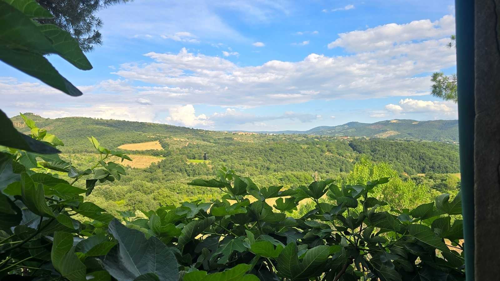  - foto 3