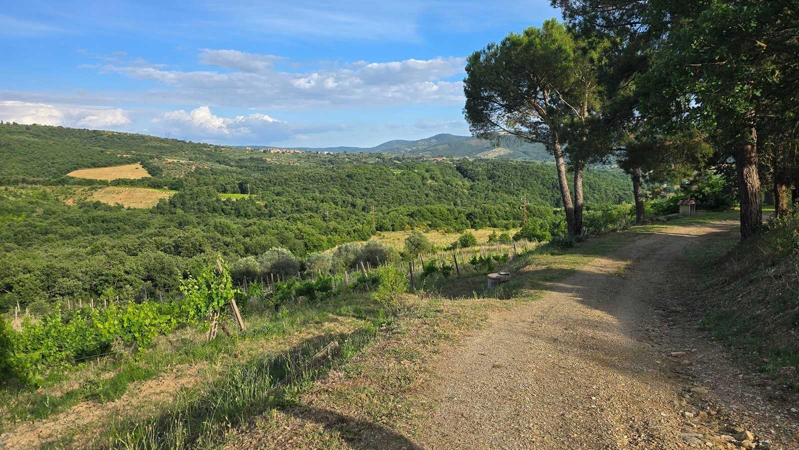  - foto 41