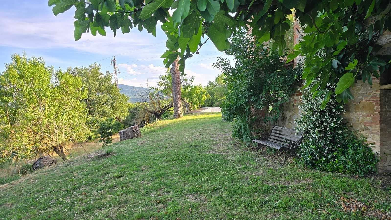  - foto 43