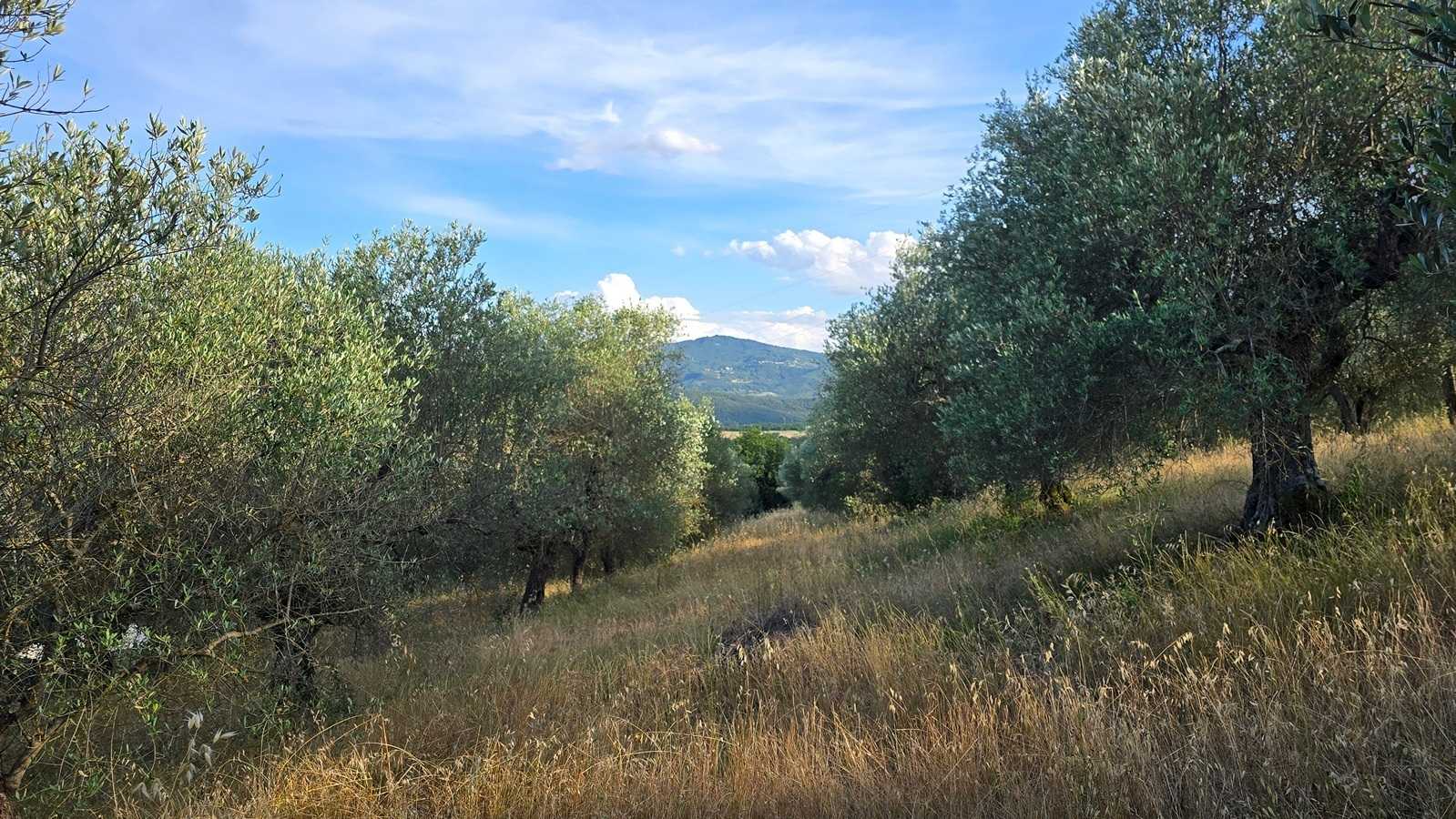  - foto 44