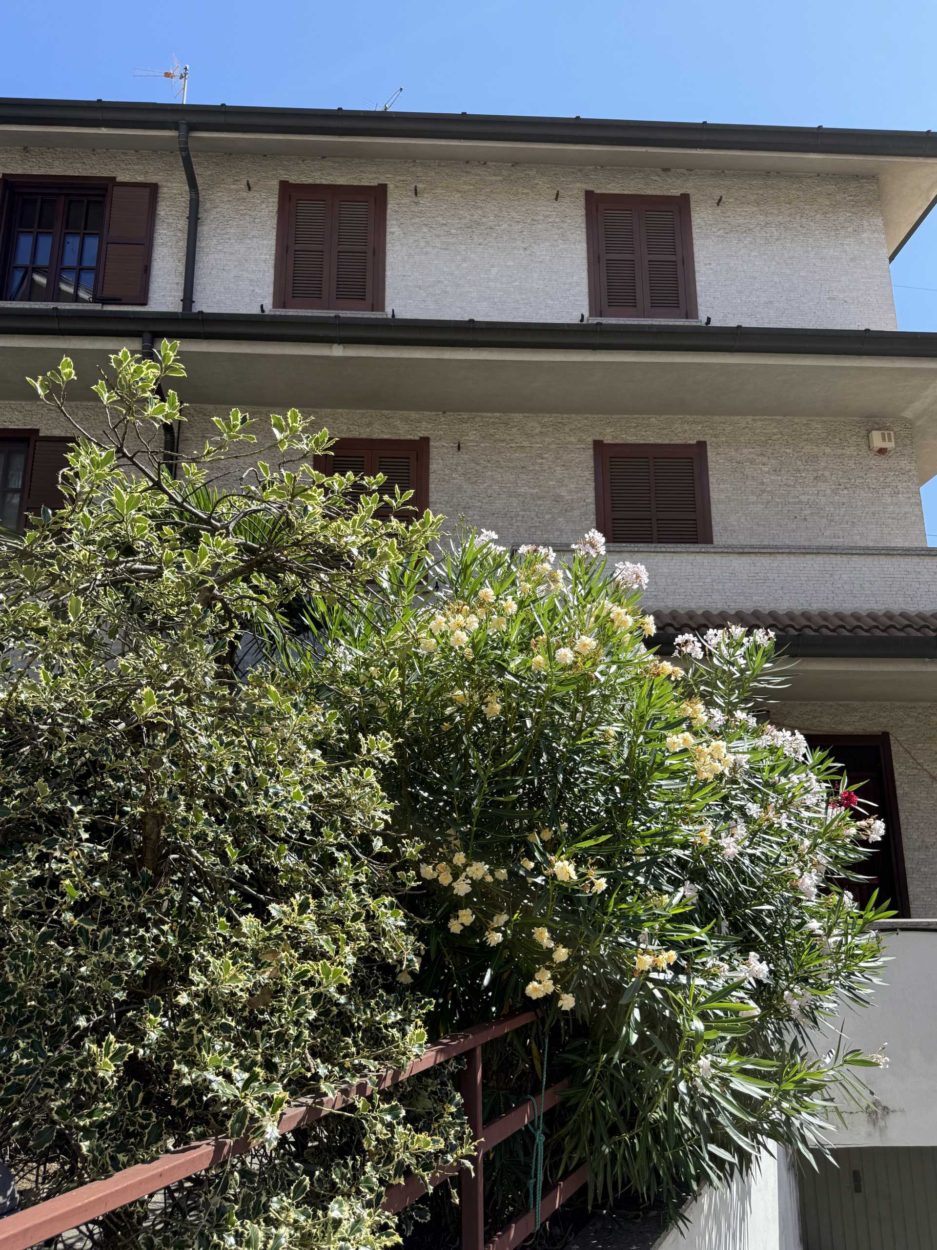  - foto 26