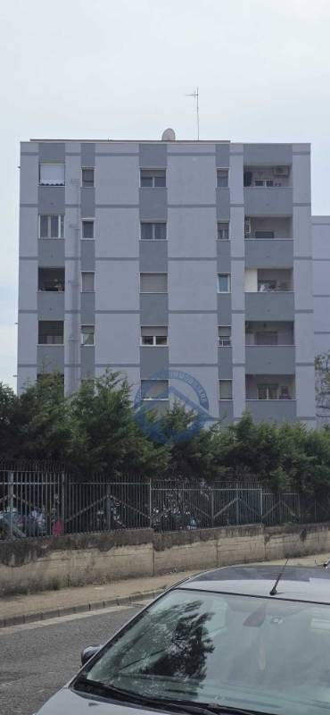  - foto 19