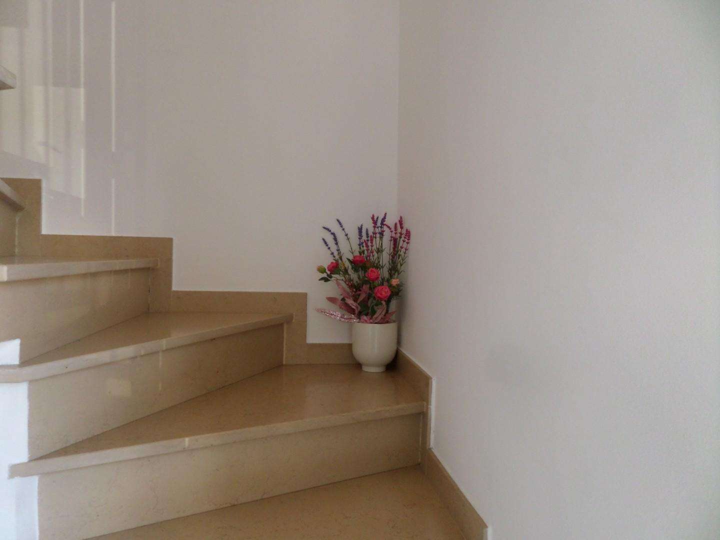  - foto 22
