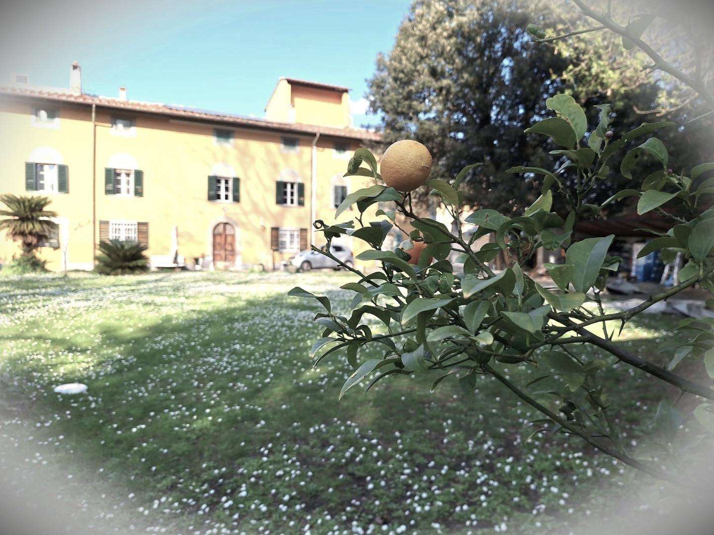 Palazzo - Stabile Via di Mezzo Nord,, Cascina