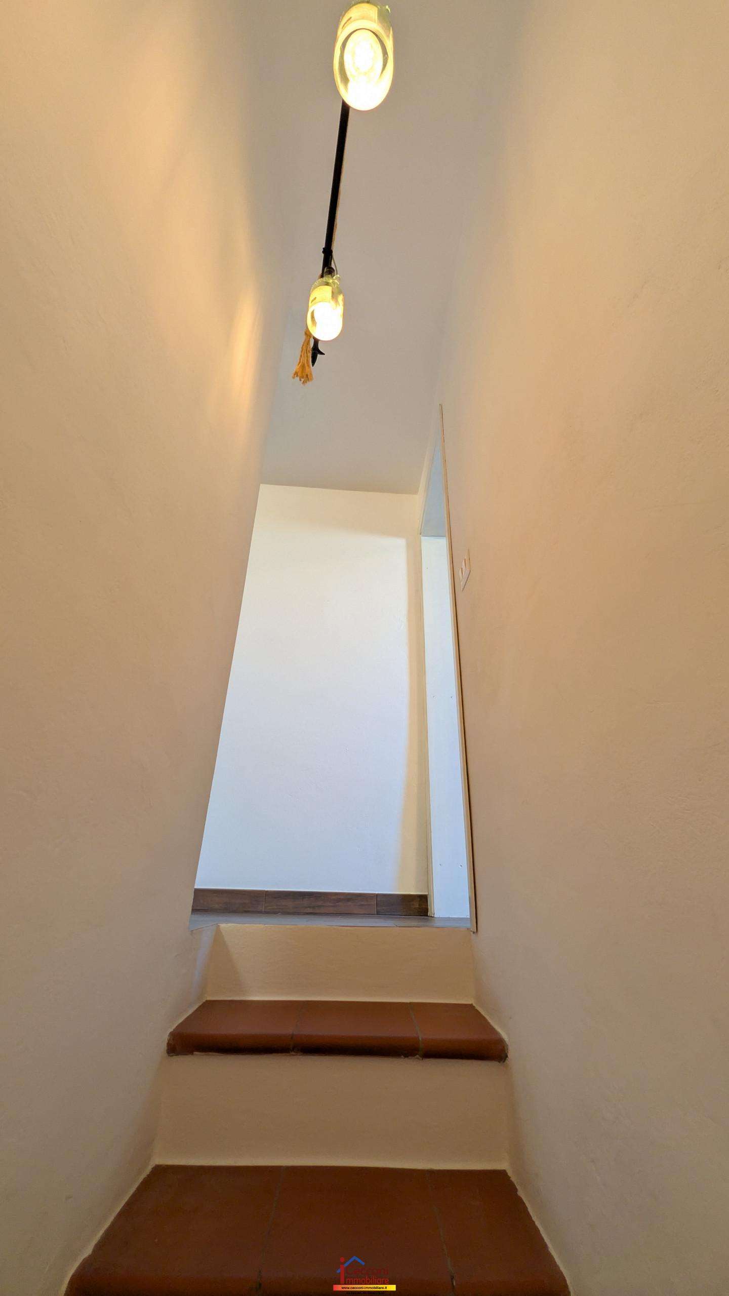  - foto 21