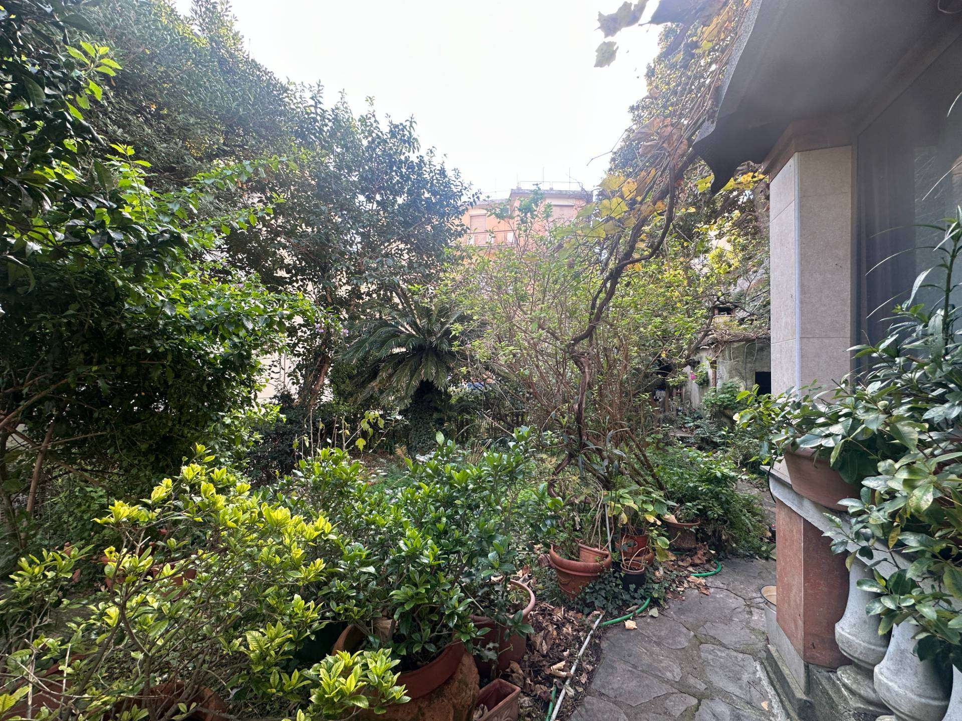  - foto 10