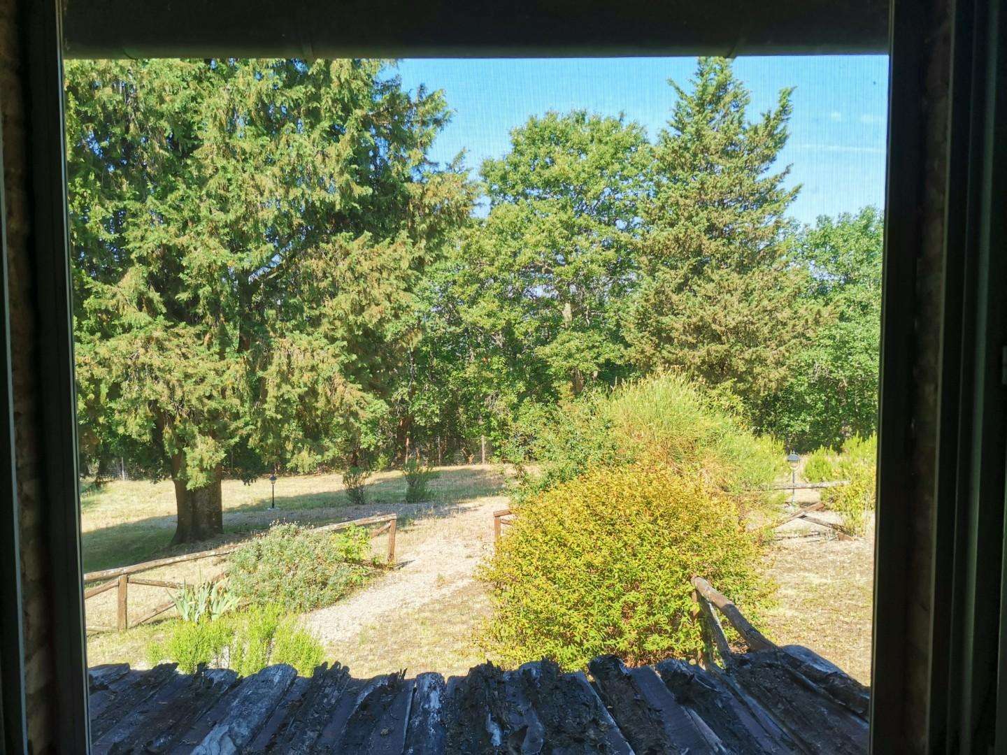  - foto 18