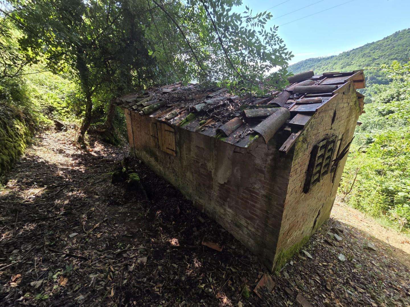  - foto 4