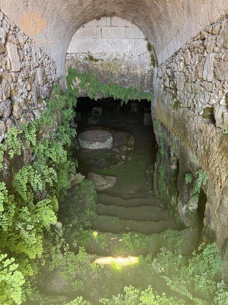  - foto 17