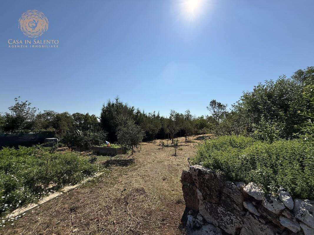  - foto 6