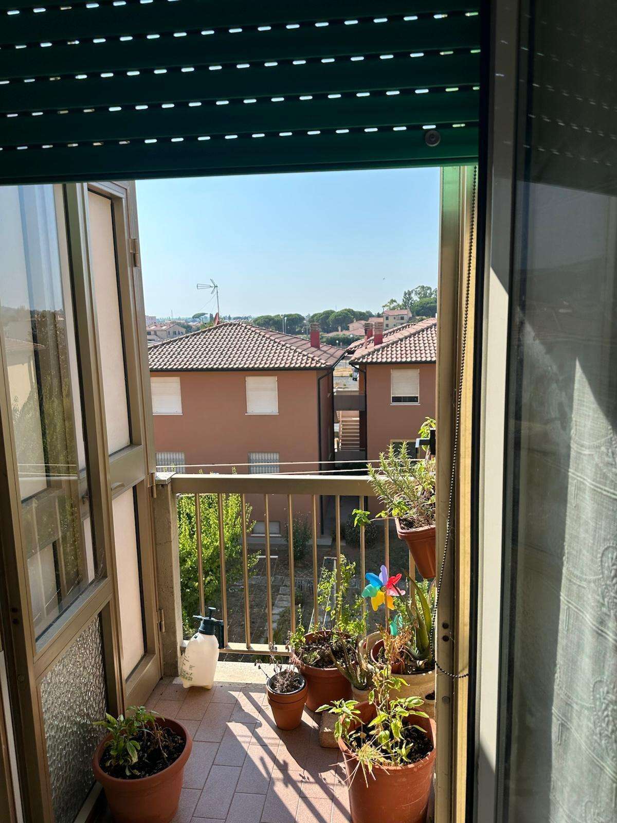  - foto 10