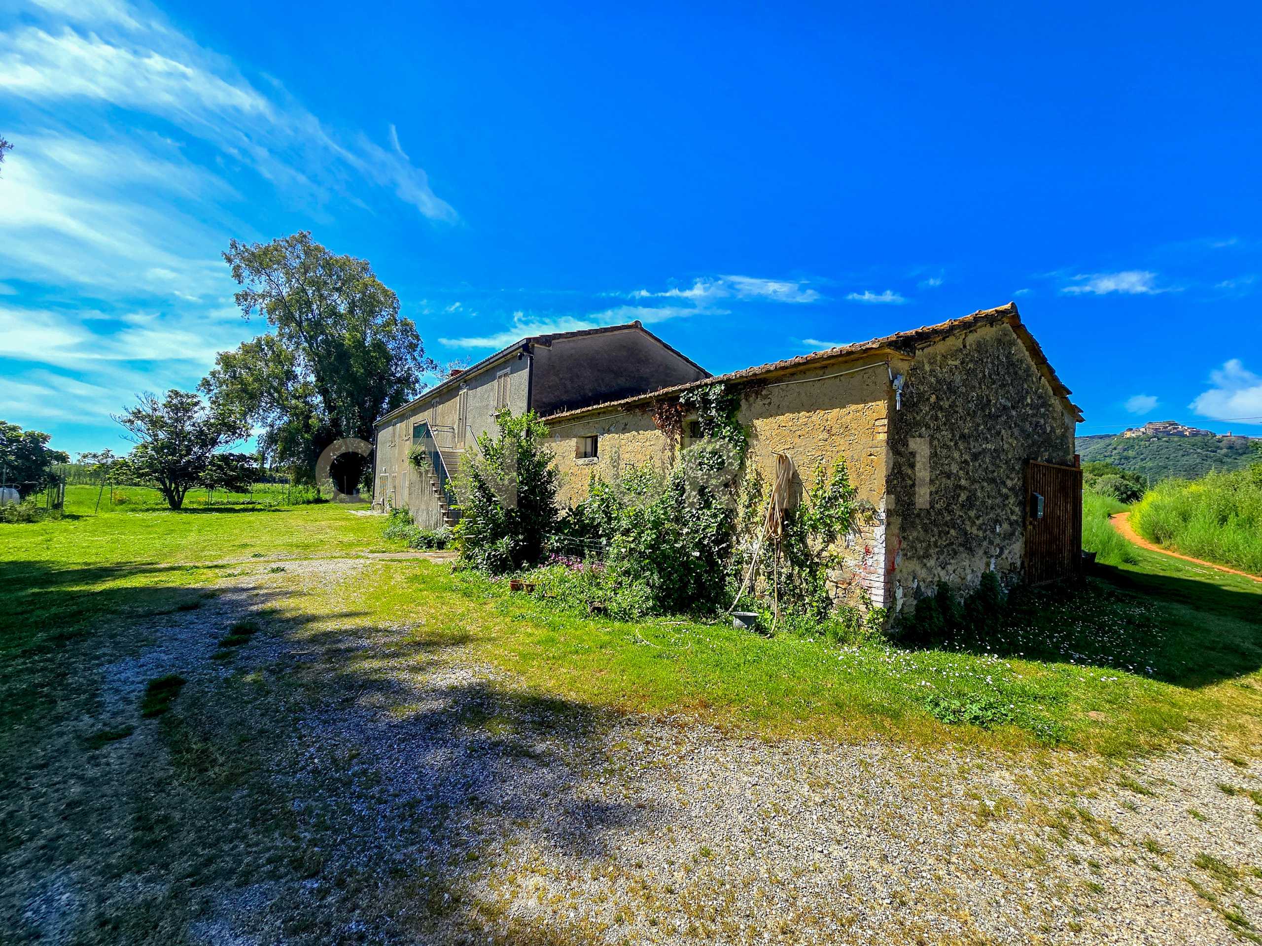 Casa indipendente Località Vaticino, Castiglione della Pescaia