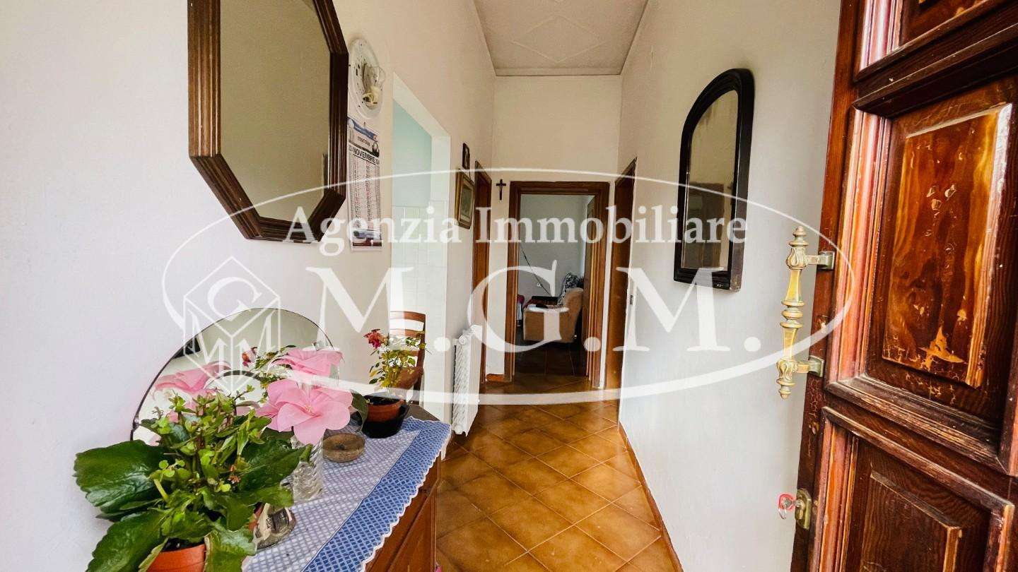  - foto 21