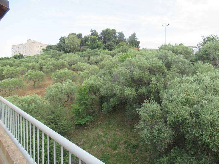  - foto 6