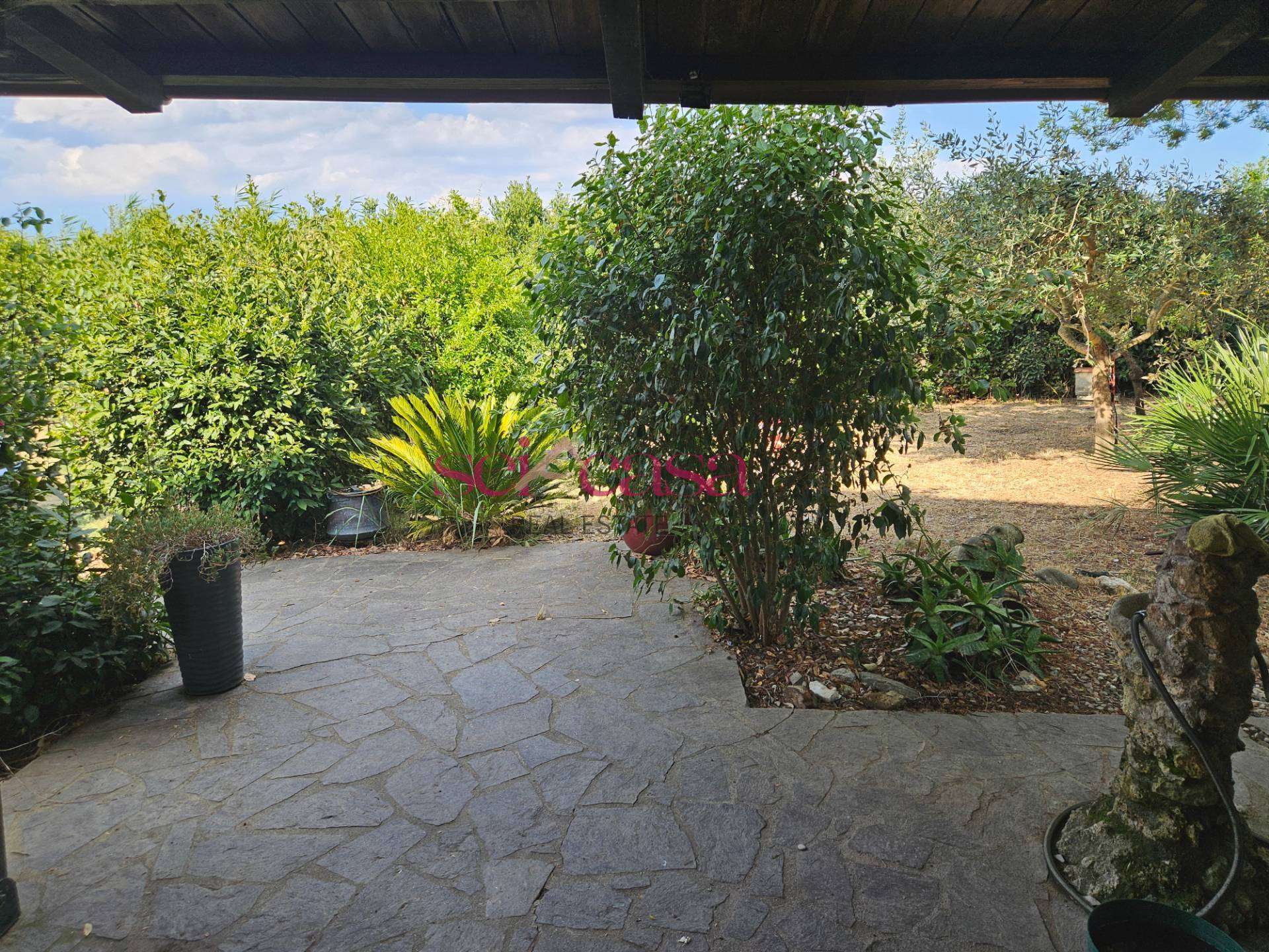  - foto 36