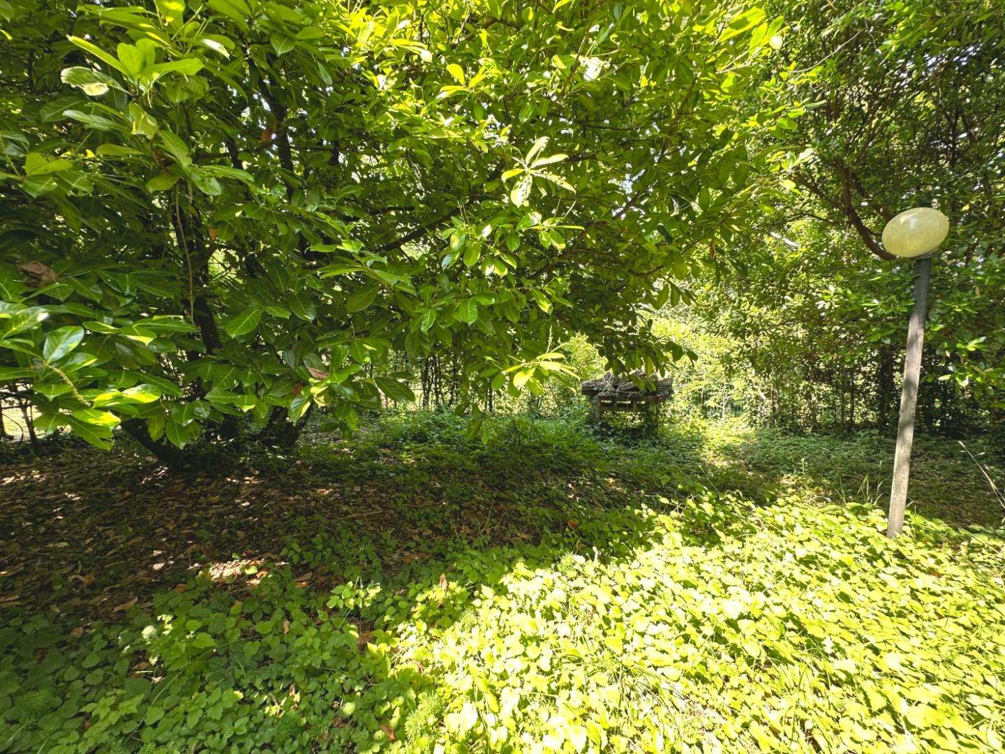  - foto 21