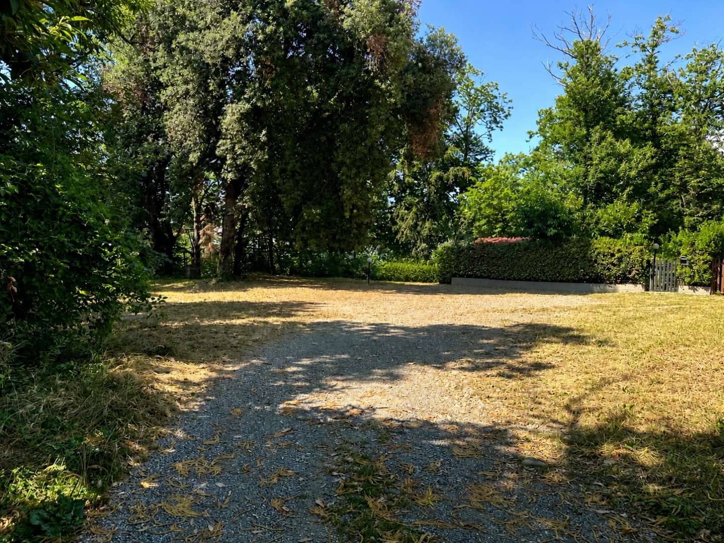  - foto 24