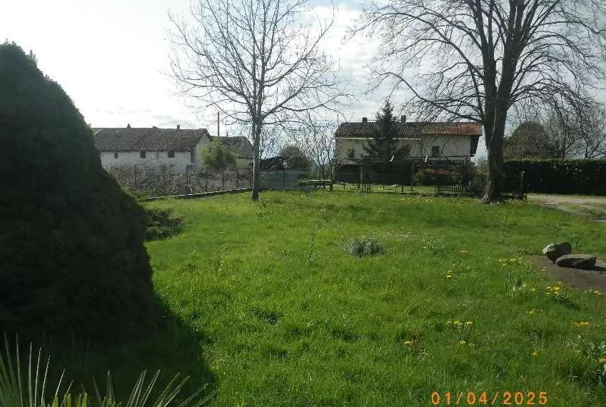  - foto 3