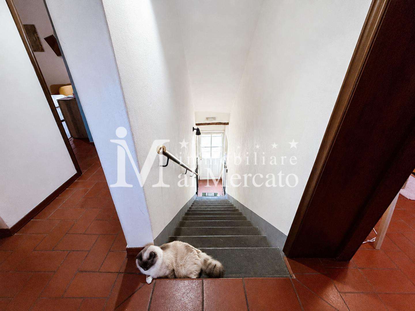  - foto 29