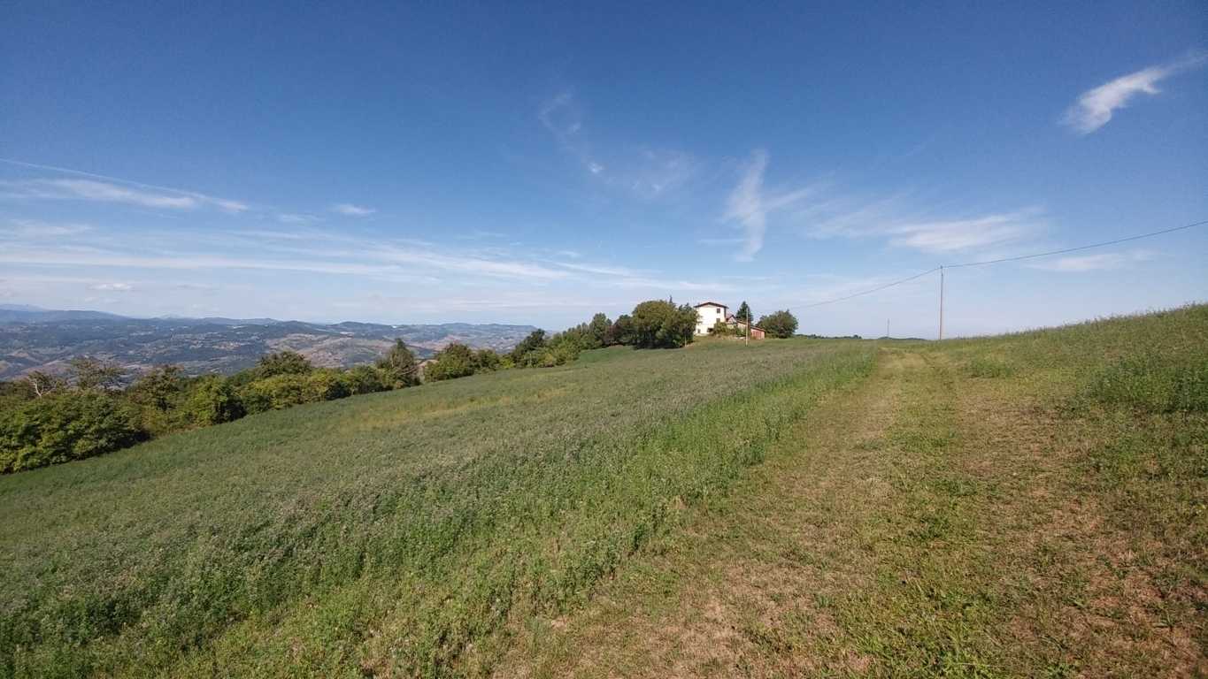  - foto 46
