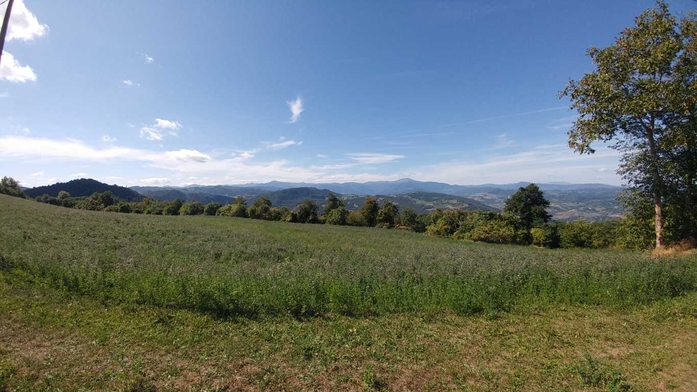  - foto 49