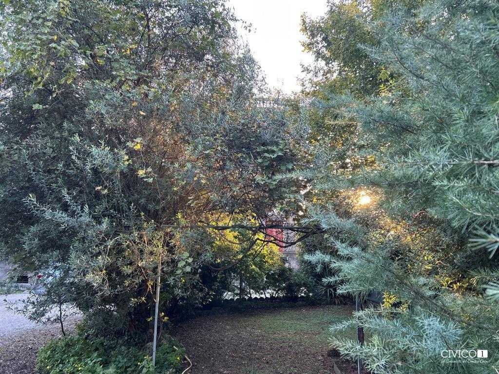  - foto 23