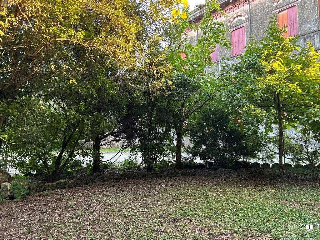  - foto 25