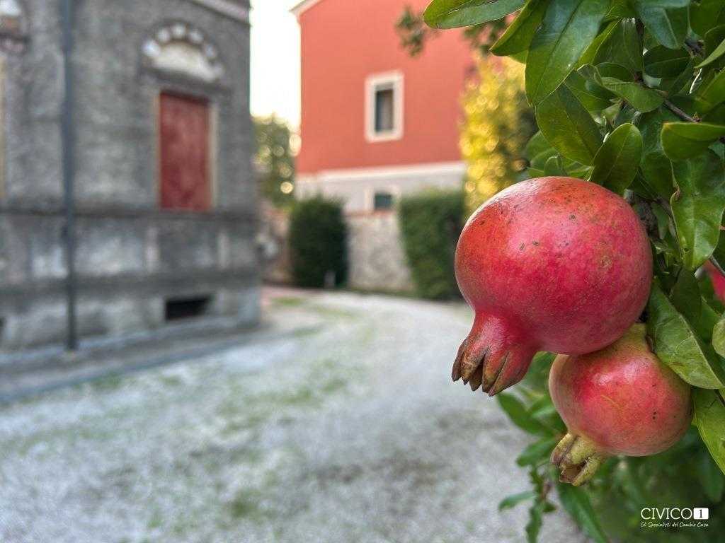  - foto 28
