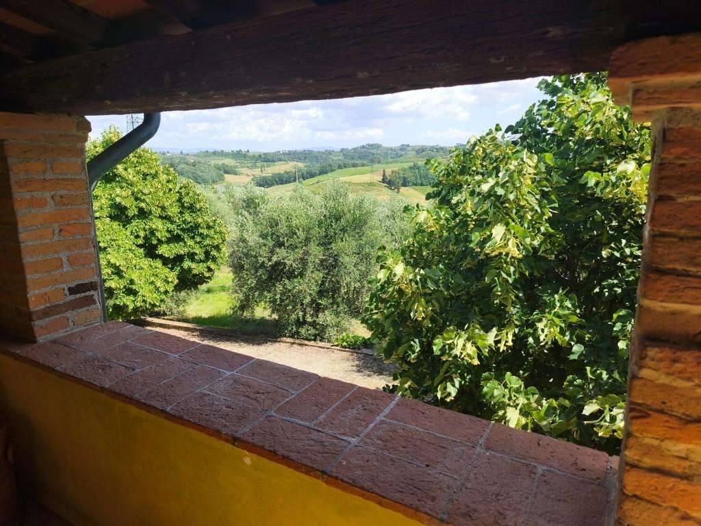  - foto 12