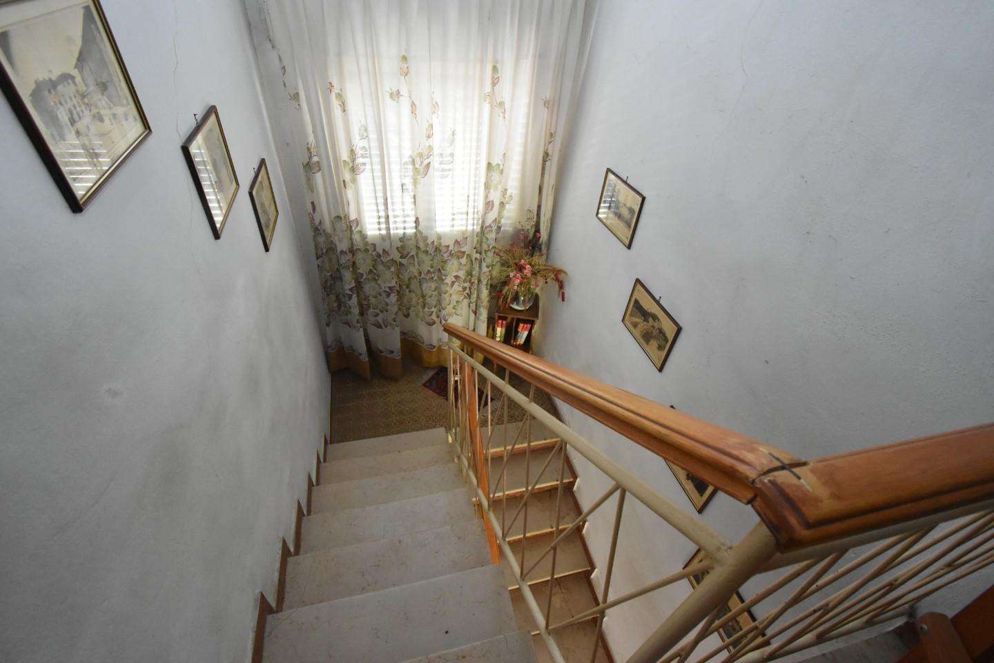  - foto 35