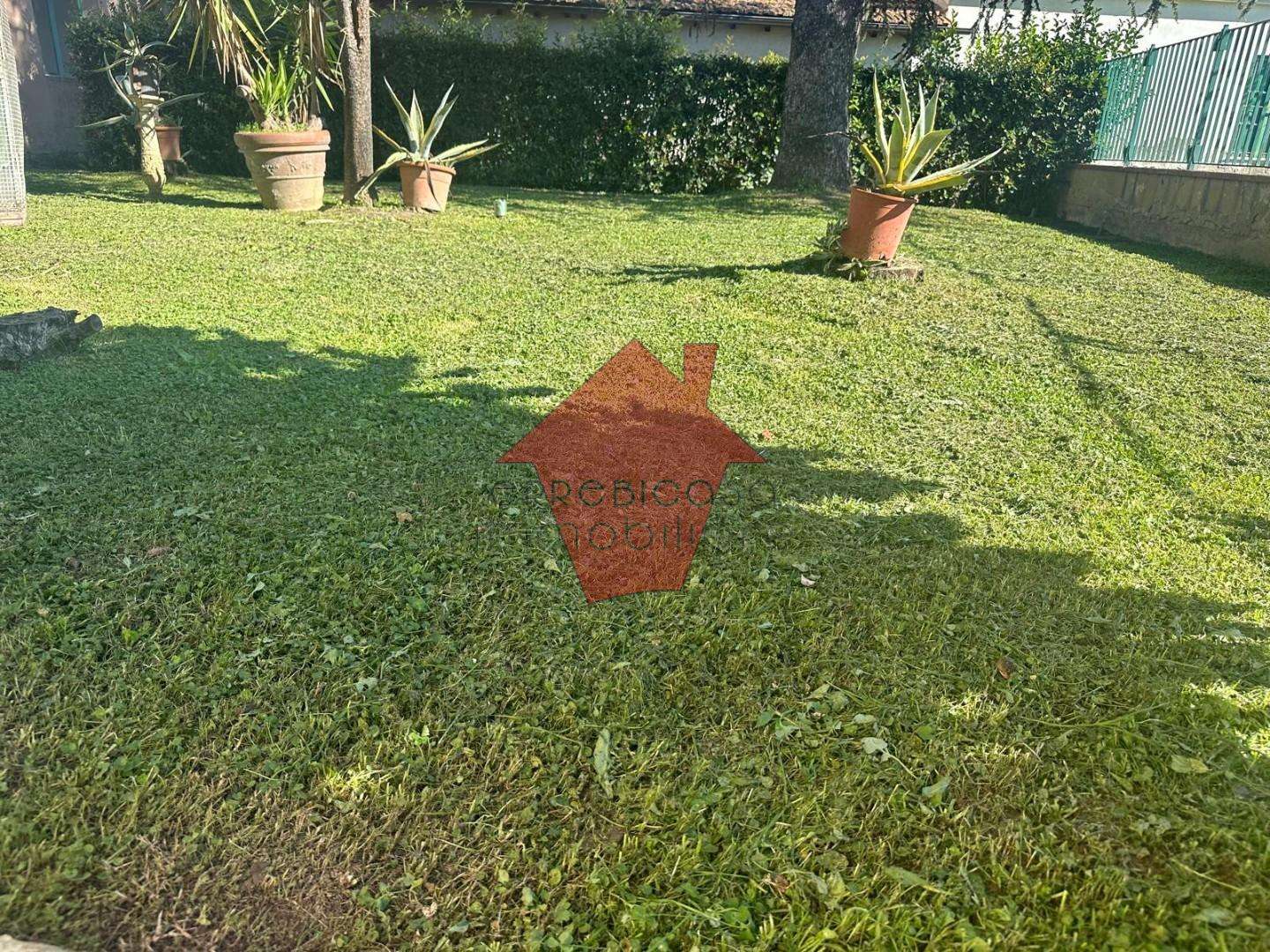  - foto 43