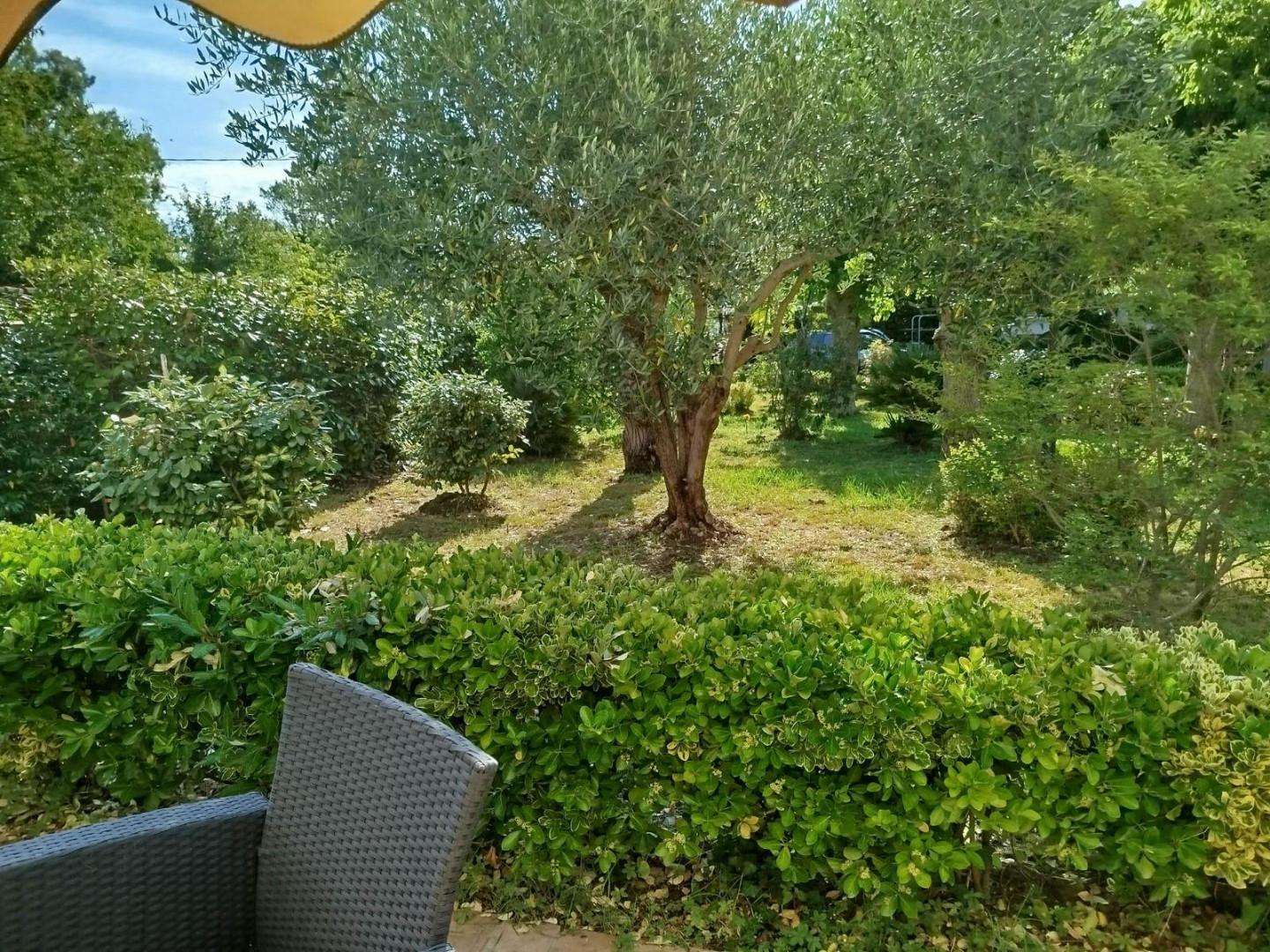  - foto 10